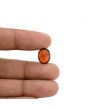 Hessonite (Gomed) - 7.08 Carat 