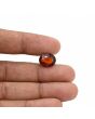 Hessonite (Gomed) - 6.19 Carat 