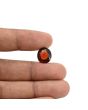 Hessonite (Gomed) - 6.35 Carat 