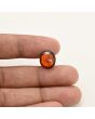 Hessonite (Gomed) - 6.35 Carat 