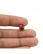 Hessonite (Gomed) - 4.12 Carat 