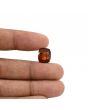 Hessonite (Gomed) - 7.95 Carat 