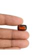 Hessonite (Gomed) - 8.74 Carat 