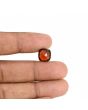 Hessonite (Gomed) - 4.92 Carat 