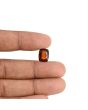 Hessonite (Gomed) - 4.68 Carat 