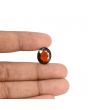 Hessonite (Gomed) - 9.05 Carat 