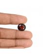 Hessonite (Gomed) - 9.31 Carat 