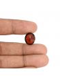 Hessonite (Gomed) - 9.31 Carat 