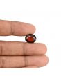 Hessonite (Gomed) - 7.37 Carat 