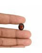 Hessonite (Gomed) - 6.42 Carat 