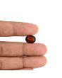 Hessonite (Gomed) - 5.78 Carat 