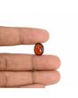 Hessonite (Gomed) - 5.78 Carat 