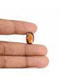 Hessonite (Gomed) - 7.69 Carat 