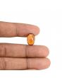 Hessonite (Gomed) - 7.69 Carat 