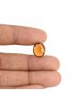 Hessonite (Gomed) - 5.98 Carat 