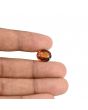 Hessonite (Gomed) - 6.58 Carat 