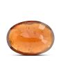 Hessonite (Gomed) - 6.99 Carat 