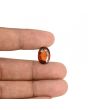 Hessonite (Gomed) - 6.99 Carat 