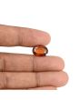 Hessonite (Gomed) - 6.99 Carat 