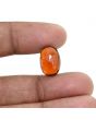 Hessonite (Gomed) 9.85 Carat