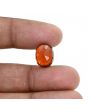 Hessonite (Gomed) 9.53 Carat