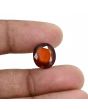 Hessonite (Gomed) 8.77 Carat