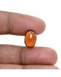 Hessonite (Gomed) 6.87 Carat 