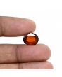 Hessonite (Gomed) 7.37 Carat