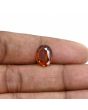 Hessonite (Gomed) 3.53 Carat 