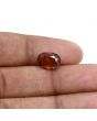 Hessonite (Gomed) 4.39 Carat 