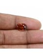 Hessonite (Gomed) 3.66 Carat 