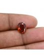 Hessonite (Gomed) 3.59 Carat 
