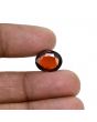 Hessonite (Gomed) 8.08 Carat