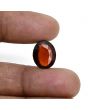 Hessonite (Gomed) 8.92 Carat 