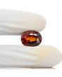 Hessonite (Gomed) 9.59 Carat