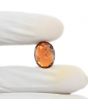 Hessonite (Gomed) 9.59 Carat