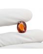 Hessonite (Gomed) 8.72 Carat