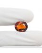Hessonite (Gomed) 8.72 Carat