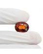 Hessonite (Gomed) 11.31 Carat 