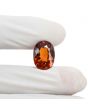 Hessonite (Gomed) 11.31 Carat 
