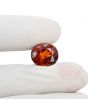 Hessonite (Gomed) 8.74 Carat 