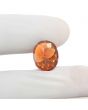 Hessonite (Gomed) 8.74 Carat 