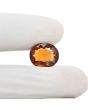 Hessonite (Gomed) 7.88 Carat