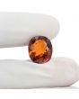 Hessonite (Gomed) 10.83 Carat