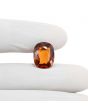 Hessonite (Gomed) 9.04 Carat