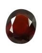 Hessonite (Gomed) - 8.88 Carat 