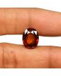 Hessonite (Gomed) - 7.58 Carat 