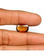 Hessonite (Gomed) - 7.77 Carat 