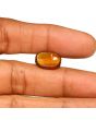 Hessonite (Gomed) - 7.77 Carat 