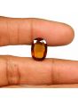 Hessonite (Gomed) - 7.77 Carat 